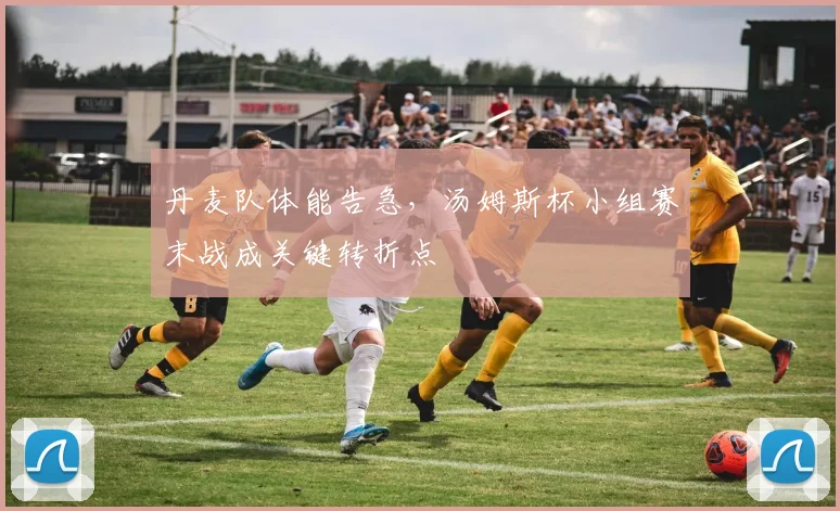 丹麦队体能告急，汤姆斯杯小组赛末战成关键转折点