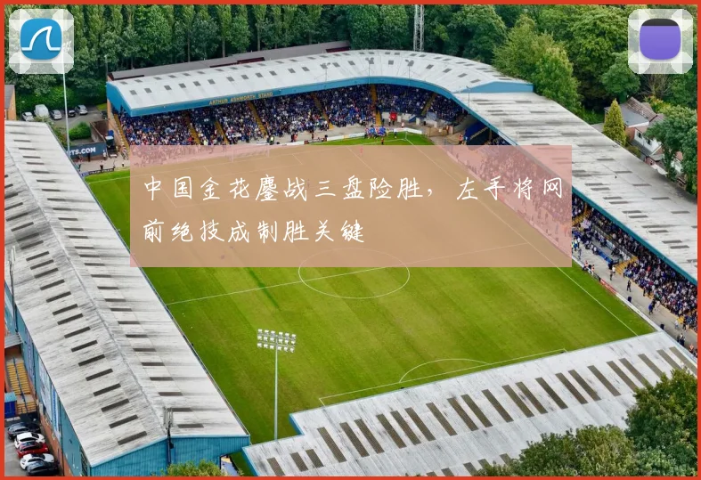 中国金花鏖战三盘险胜,左手将网前绝技成制胜关键