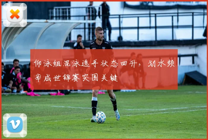 仰泳组混泳选手状态回升,划水频率成世锦赛突围关键