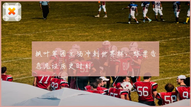 枫叶军团主场冲刺世界杯,球票告急见证历史时刻